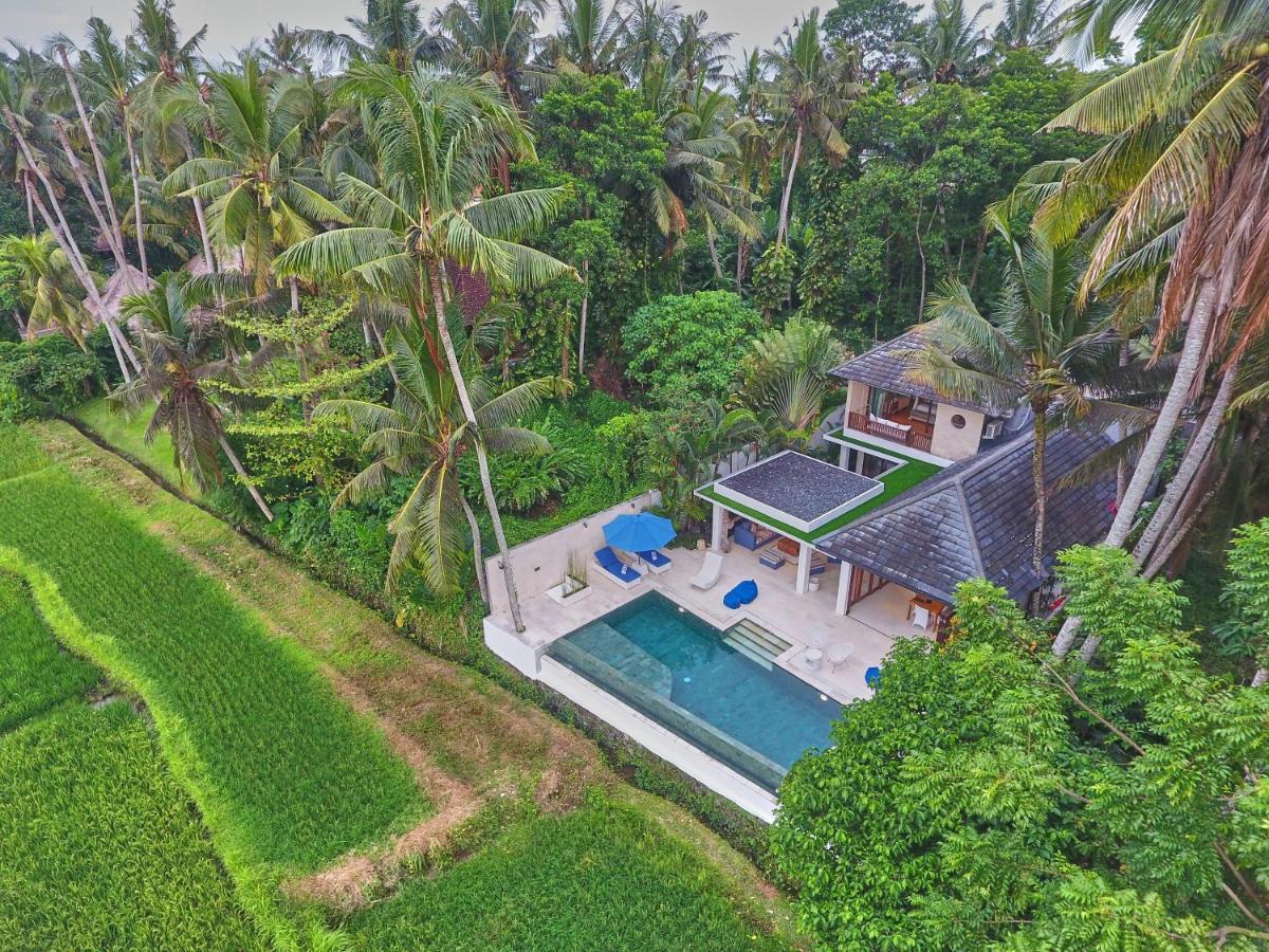 Villa Balinese Luxurious Elegance