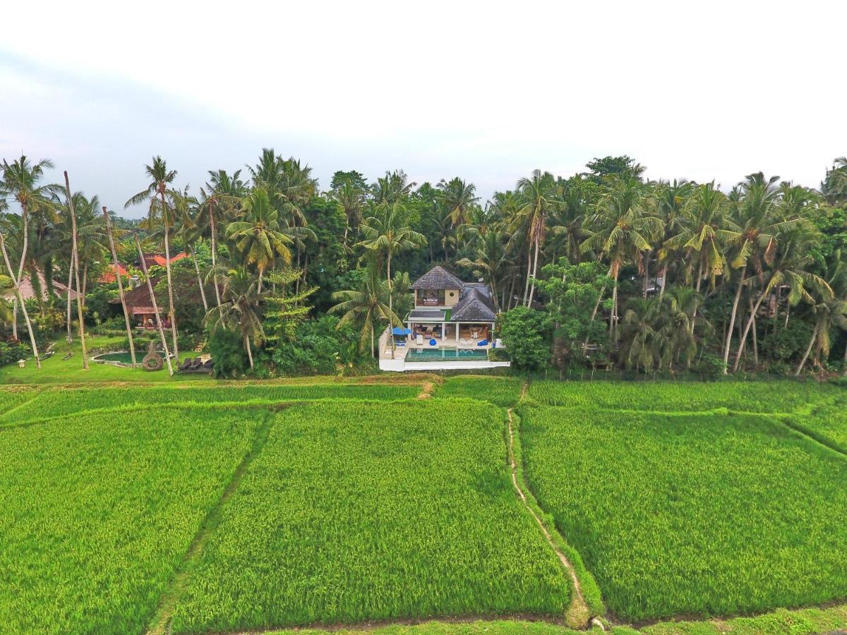 Balinese Luxurious Elegance * Ubud