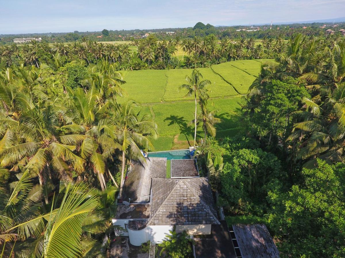 Balinese Luxurious Elegance Villa Ubud