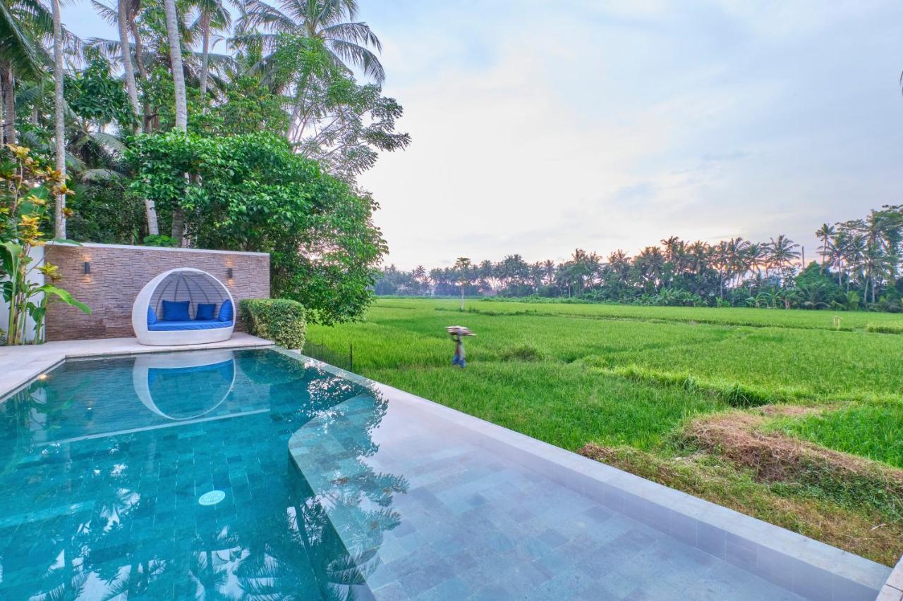 Balinese Luxurious Elegance