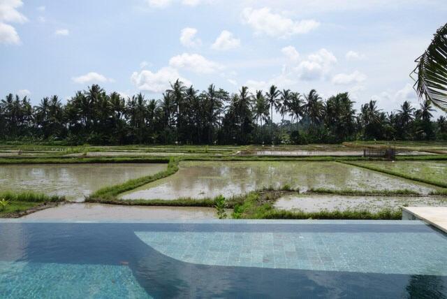 Balinese Luxurious Elegance Villa Ubud
