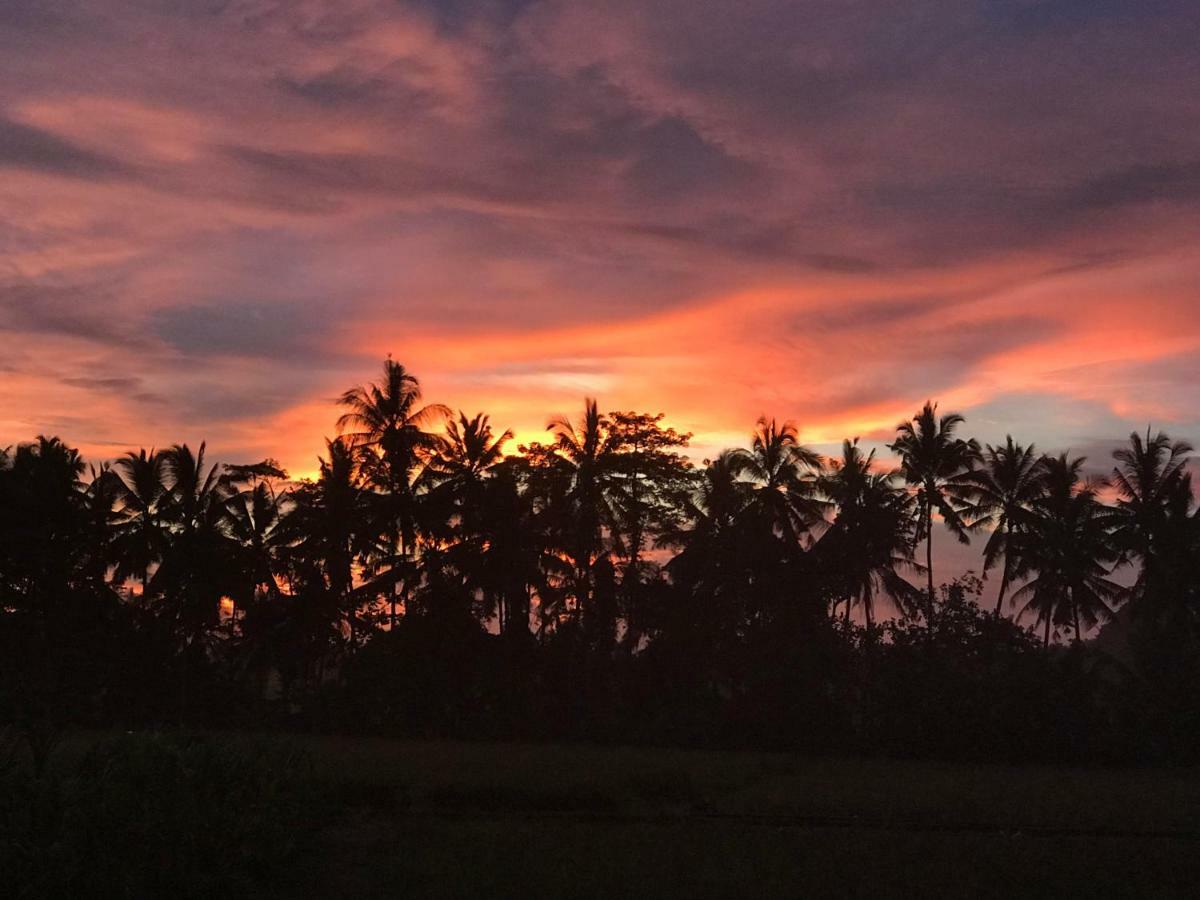 Balinese Luxurious Elegance