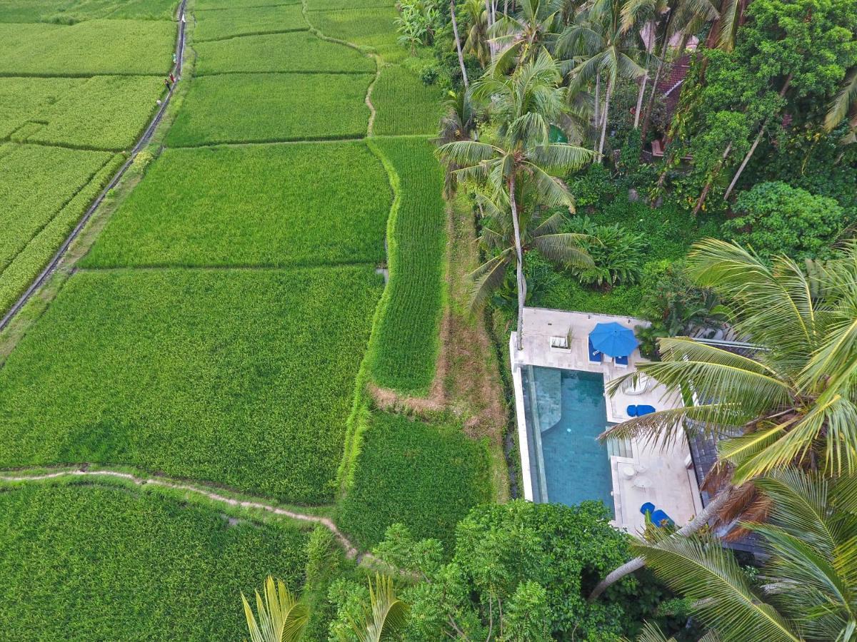 Villa Balinese Luxurious Elegance *